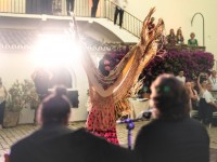 1780991443_elf-sevilla-326.jpg